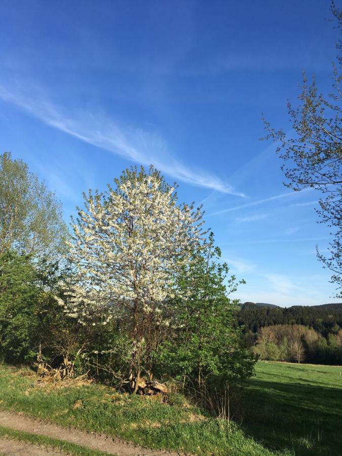 Ferienwohnung Paul Schwarzenberg Schwarzenberg  Esterno foto